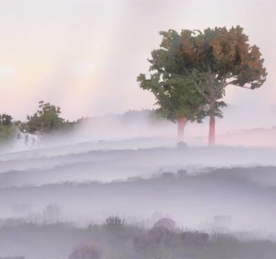 Neue Version: XVR On Scene 10.2